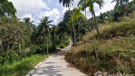 Land for sale in Mae Nam, Surat Thani