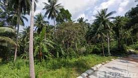 Land for sale in Mae Nam, Surat Thani