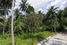 Land for sale in Mae Nam, Surat Thani