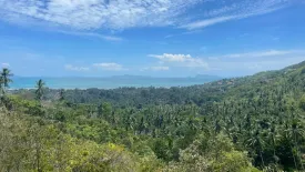 Land for sale in Ang Thong, Surat Thani
