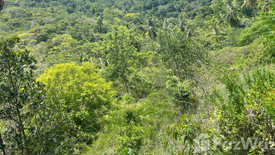 Land for sale in Ang Thong, Surat Thani