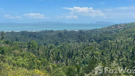 Land for sale in Ang Thong, Surat Thani