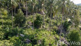 Land for sale in Bo Phut, Surat Thani