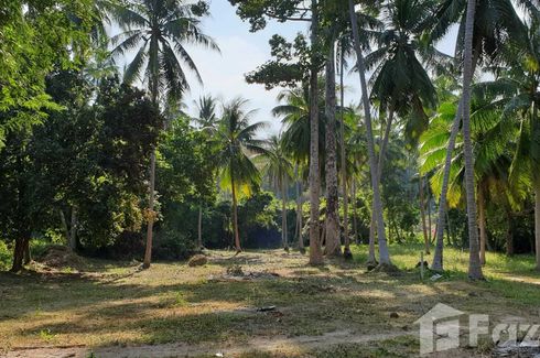 Land for sale in Taling Ngam, Surat Thani