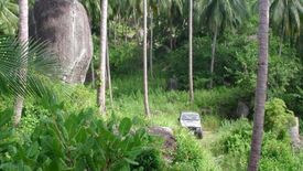 Land for sale in Maret, Surat Thani