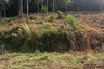 Land for sale in Mae Nam, Surat Thani