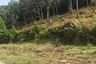 Land for sale in Mae Nam, Surat Thani