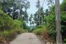 Land for sale in Maret, Surat Thani