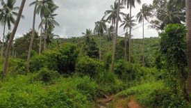 Land for sale in Maret, Surat Thani