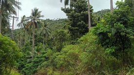 Land for sale in Maret, Surat Thani