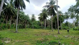 Land for sale in Tha Kham, Surat Thani