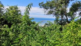 Land for sale in Maret, Surat Thani