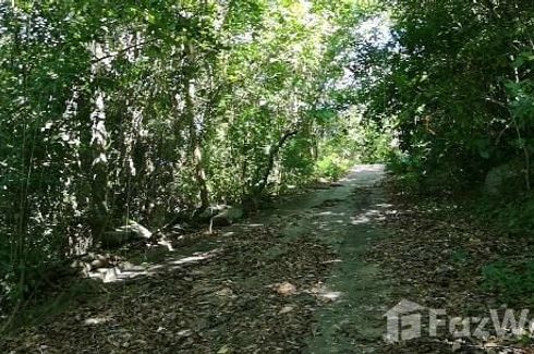 Land for sale in Maret, Surat Thani