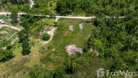 Land for sale in Mae Nam, Surat Thani