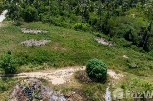 Land for sale in Mae Nam, Surat Thani