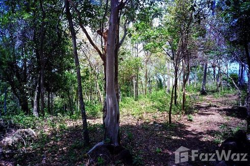 Land for sale in Maret, Surat Thani