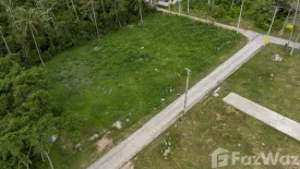 Land for sale in Mae Nam, Surat Thani