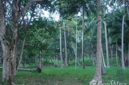 Land for sale in Mae Nam, Surat Thani