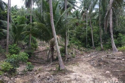 Land for sale in Mae Nam, Surat Thani