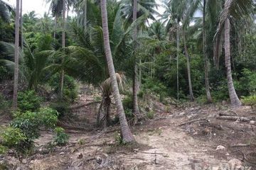 Land for sale in Mae Nam, Surat Thani