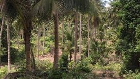 Land for sale in Mae Nam, Surat Thani