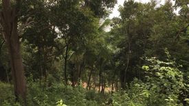 Land for sale in Mae Nam, Surat Thani