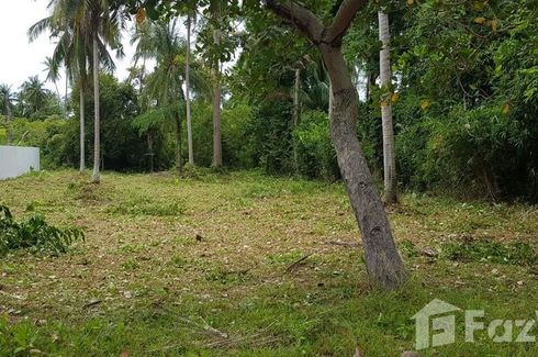 Land for sale in Na Mueang, Surat Thani