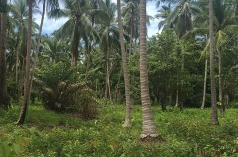 Land for sale in Lipa Noi, Surat Thani