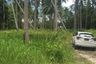 Land for sale in Lipa Noi, Surat Thani