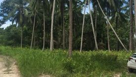 Land for sale in Lipa Noi, Surat Thani