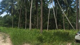 Land for sale in Lipa Noi, Surat Thani