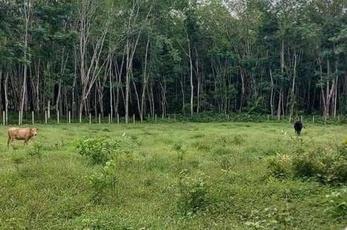 Land for sale in Khao Chaison, Phatthalung