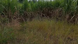 Land for sale in Kok Ko, Lopburi