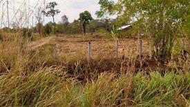 Land for sale in Charoen Sin, Sakon Nakhon