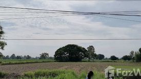 Land for sale in That Thong, Chaiyaphum