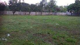 Land for sale in Rop Wiang, Chiang Rai