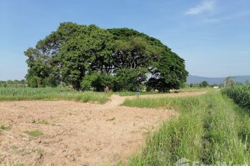 Land for sale in That Thong, Chaiyaphum