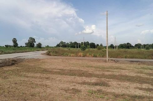 Land for sale in Noen Kham, Chainat