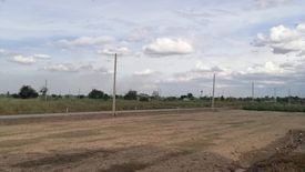 Land for sale in Noen Kham, Chainat