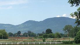 Land for sale in Wang Sai, Nakhon Ratchasima