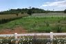 Land for sale in Wang Sai, Nakhon Ratchasima