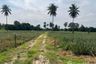 Land for sale in Sam Phraya, Phetchaburi