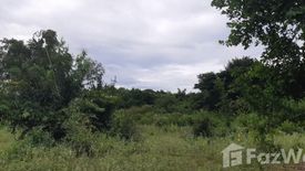 Land for sale in Wang Phong, Prachuap Khiri Khan