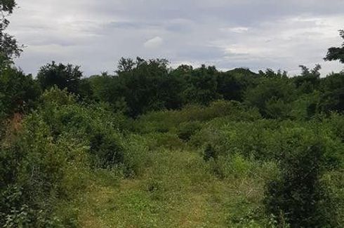 Land for sale in Wang Phong, Prachuap Khiri Khan