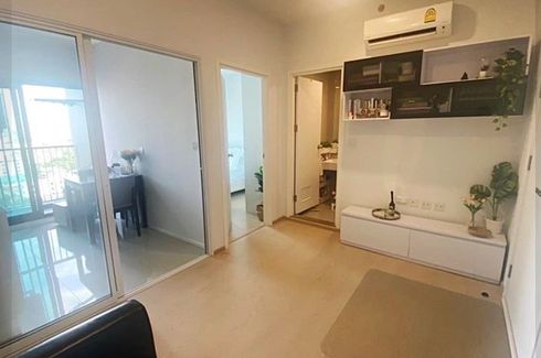 1 Bedroom Condo for rent in The Tree Sukhumvit 71 - Ekamai, Suan Luang, Bangkok near Airport Rail Link Ramkhamhaeng