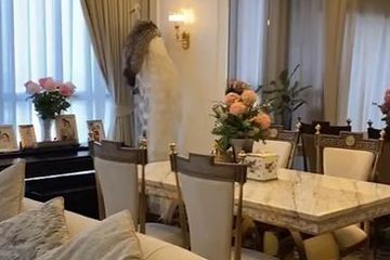 2 Bedroom Condo for rent in Park Origin Thonglor, Khlong Tan Nuea, Bangkok