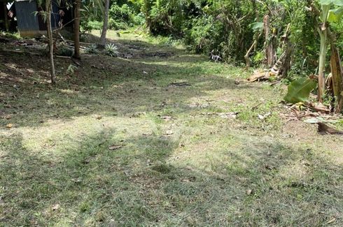 Land for sale in Karon, Phuket