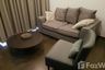2 Bedroom Condo for rent in The XXXIX by Sansiri, Khlong Tan Nuea, Bangkok near BTS Phrom Phong