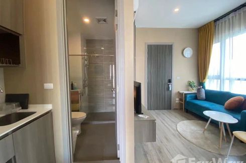 1 Bedroom Condo for rent in Knightsbridge Prime Onnut, Phra Khanong Nuea, Bangkok near BTS On Nut