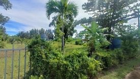 Land for sale in Chalong, Phuket